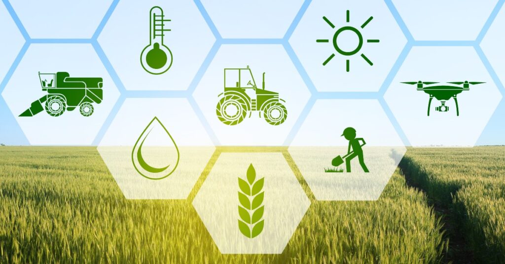 Artificial Intelligence Comes to Farming in India 2024