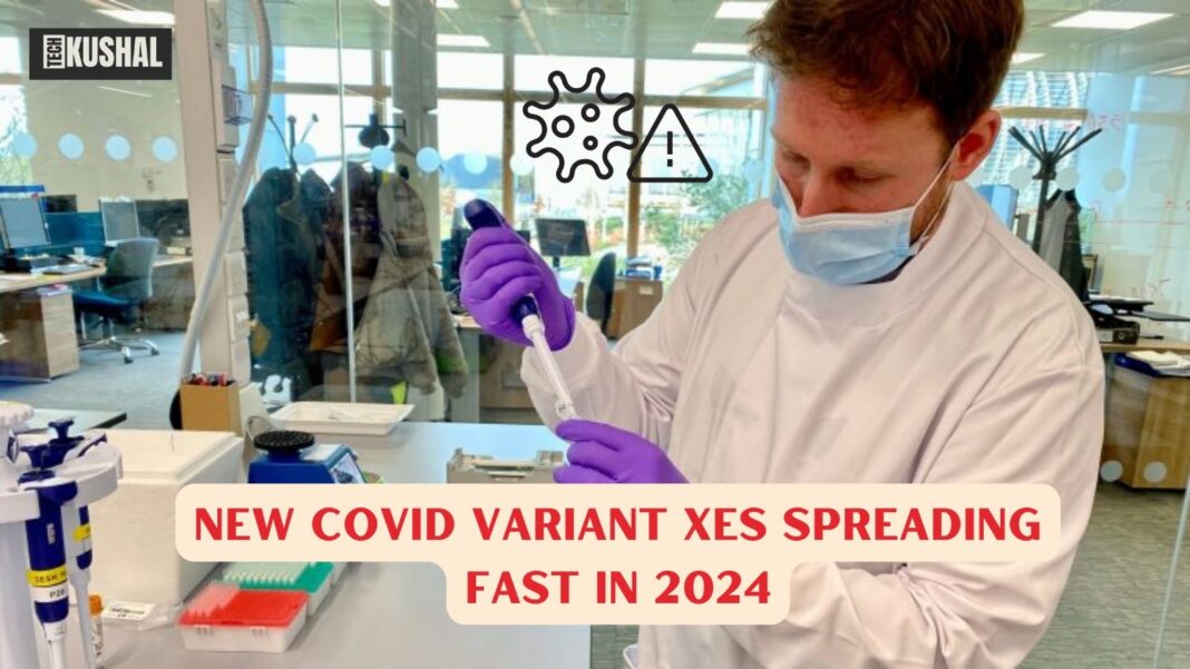 New Covid Variant XES Spreading Fast in 2024: Everything You Need to Know